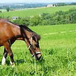 Kinderbauernhof Salmanner Affittacamere Steinbach an der Steyr