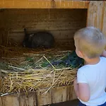 Affittacamere Kinderbauernhof Salmanner