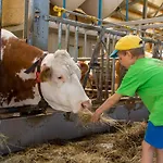 Kinderbauernhof Salmanner 3* Steinbach an der Steyr