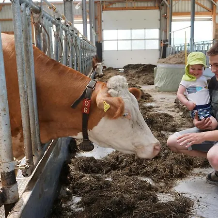 Kinderbauernhof Salmanner Guest house