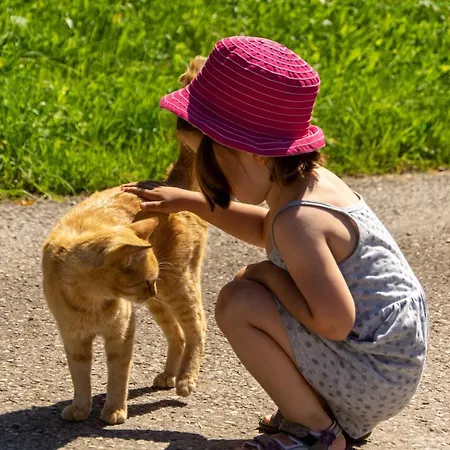 Guest house Kinderbauernhof Salmanner 3*