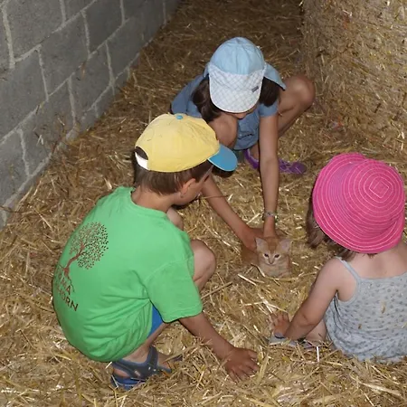Kinderbauernhof Salmanner Steinbach an der Steyr