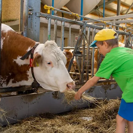 Kinderbauernhof Salmanner 3* Steinbach an der Steyr