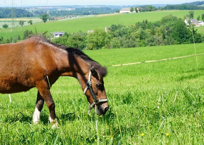 Kinderbauernhof Salmanner Gasthuis Steinbach an der Steyr