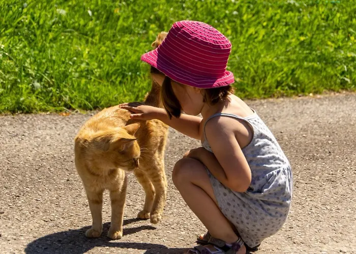 Konukevi Kinderbauernhof Salmanner 3*
