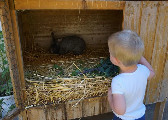 Konukevi Kinderbauernhof Salmanner