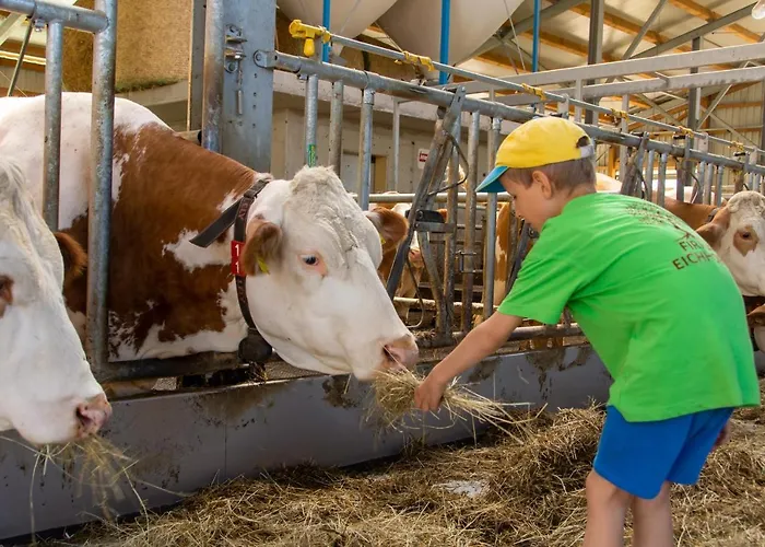 Kinderbauernhof Salmanner 3* Steinbach an der Steyr