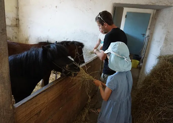 Kinderbauernhof Salmanner