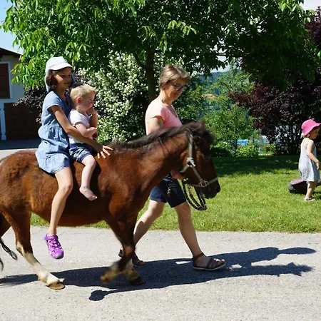 Kinderbauernhof Salmanner 招待所 Steinbach an der Steyr