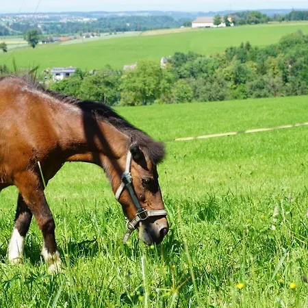 Kinderbauernhof Salmanner 招待所 Steinbach an der Steyr