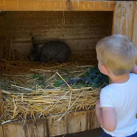 招待所 Kinderbauernhof Salmanner