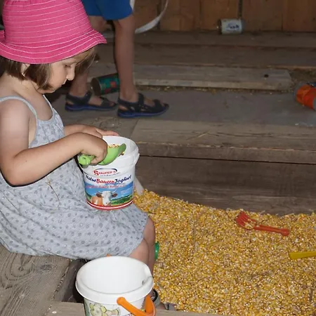 Kinderbauernhof Salmanner 招待所