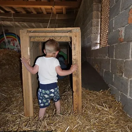 招待所 Kinderbauernhof Salmanner