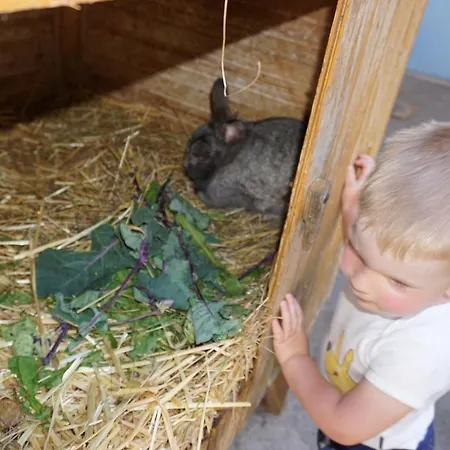 Kinderbauernhof Salmanner 招待所 3*