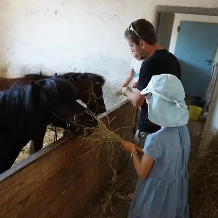 Kinderbauernhof Salmanner