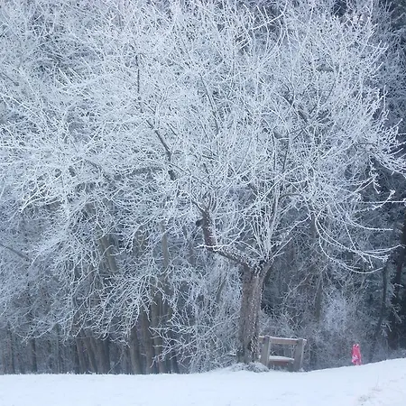 Kinderbauernhof Salmanner 招待所 3*