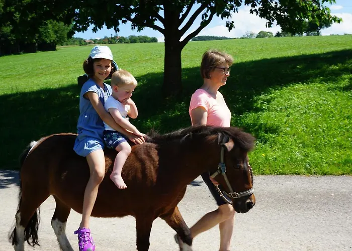 Kinderbauernhof Salmanner Steinbach an der Steyr