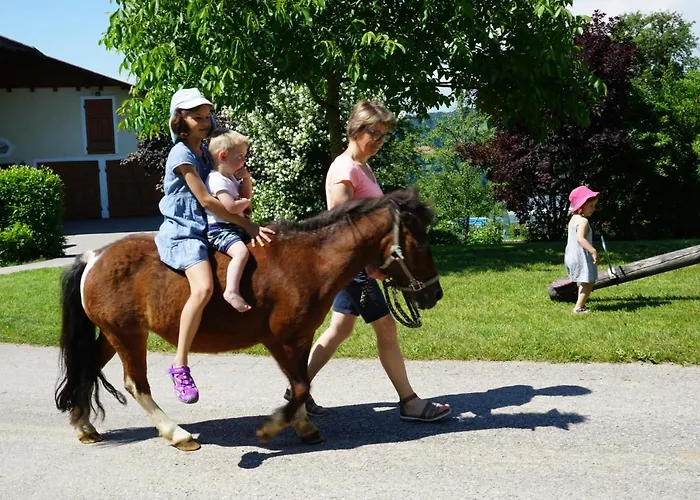 Kinderbauernhof Salmanner Maison d'hôtes Steinbach an der Steyr