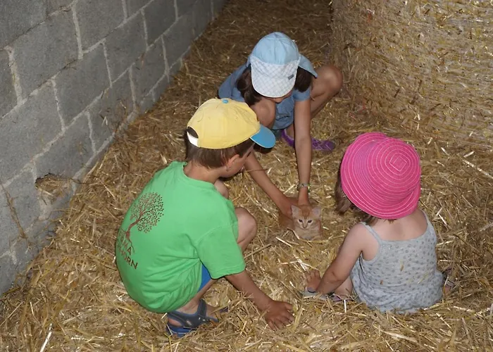 Kinderbauernhof Salmanner Steinbach an der Steyr