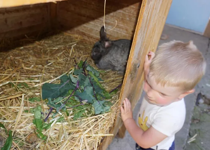 Kinderbauernhof Salmanner Maison d'hôtes 3*