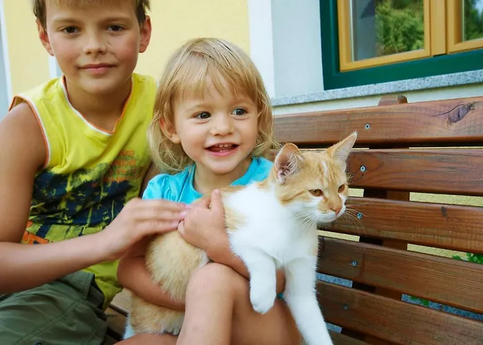 Kinderbauernhof Salmanner Steinbach an der Steyr