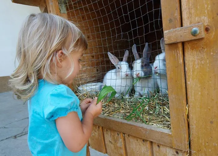 Maison d'hôtes Kinderbauernhof Salmanner 3*