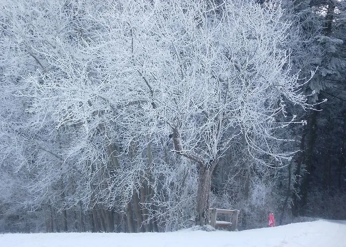 Kinderbauernhof Salmanner Maison d'hôtes 3*